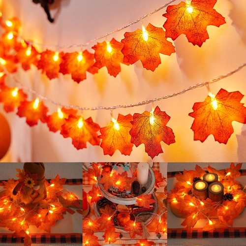 Lichterkette 10 led - 1,5m,