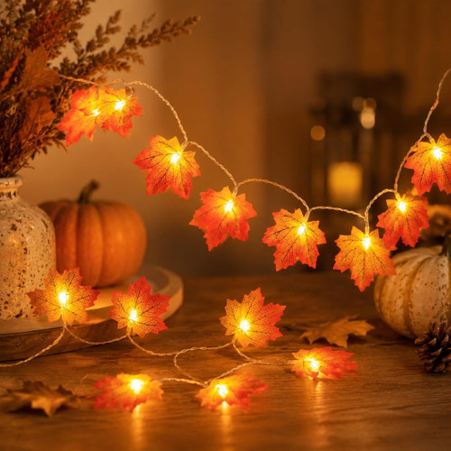 Led lichterkette herbst - led,