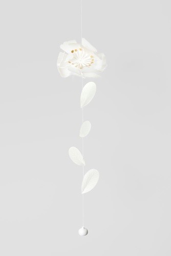 Dekokette stilblüte kamelie - kamelie, l